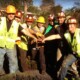 Who are the Sonoma-Marin Arborists?