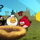 Angry Nesting Birds